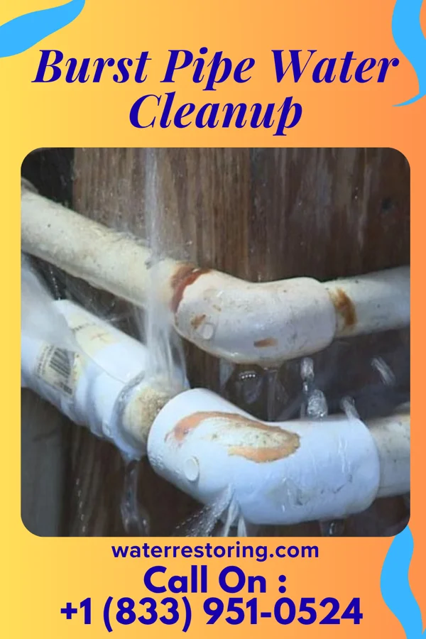 Burst Pipe Water Cleanup in Mitchell, OR