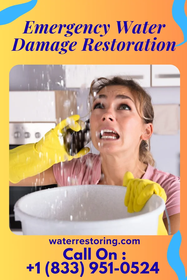Emergency Water Damage Restoration in Mitchell, OR