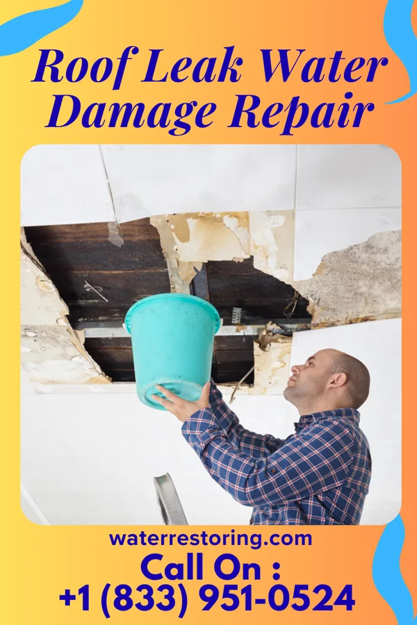 Roof Leak Water Damage Repair in Mitchell, OR