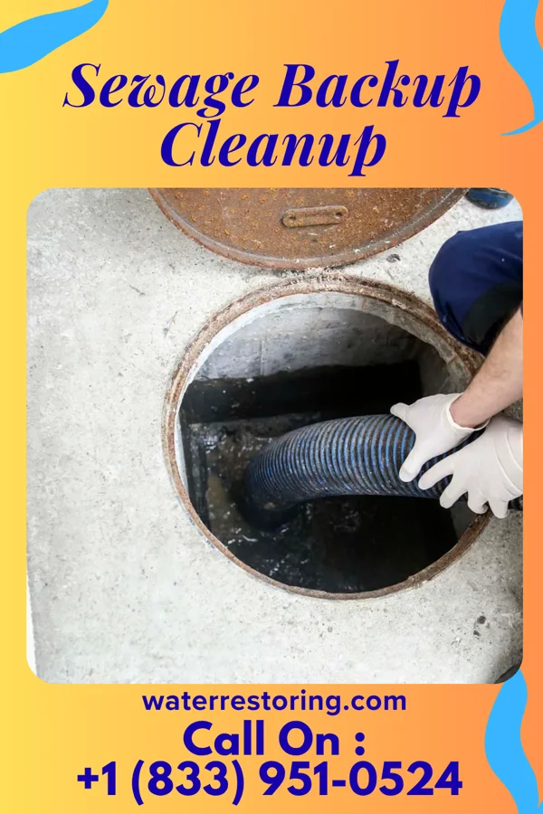Sewage Backup Cleanup in Mitchell, OR